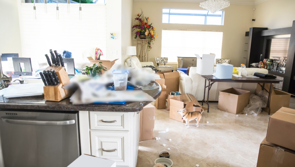image of a cluttered home